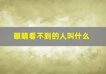 眼睛看不到的人叫什么