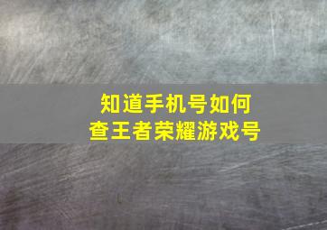 知道手机号如何查王者荣耀游戏号