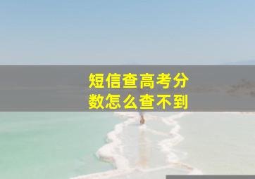 短信查高考分数怎么查不到