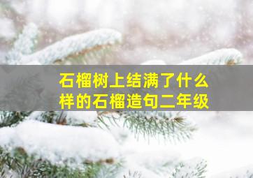 石榴树上结满了什么样的石榴造句二年级