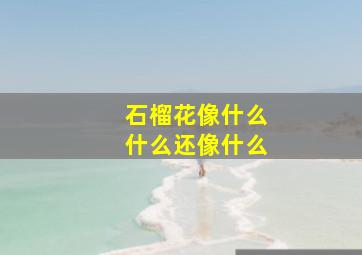 石榴花像什么什么还像什么