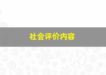 社会评价内容