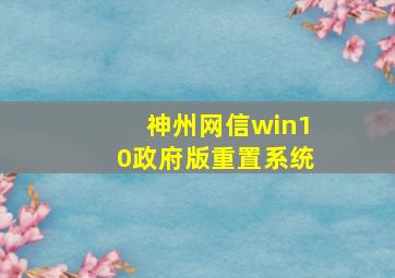 神州网信win10政府版重置系统