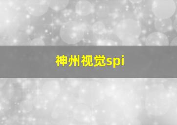 神州视觉spi