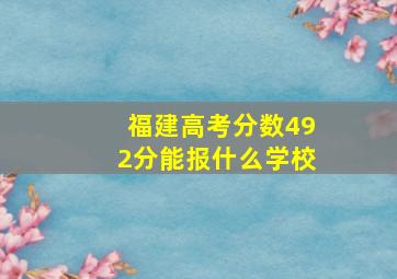 福建高考分数492分能报什么学校