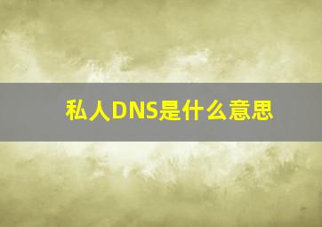 私人DNS是什么意思