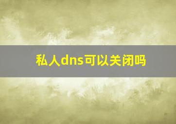 私人dns可以关闭吗