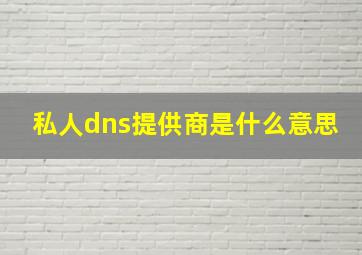 私人dns提供商是什么意思