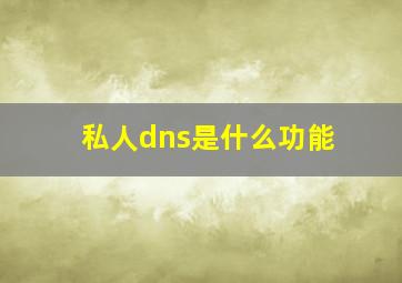 私人dns是什么功能