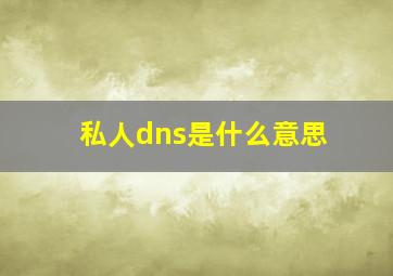 私人dns是什么意思