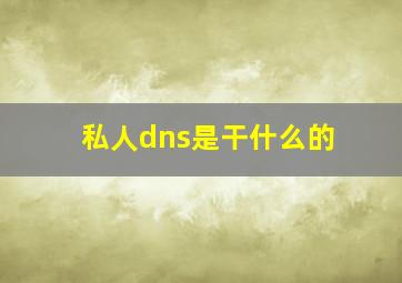 私人dns是干什么的