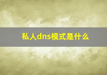 私人dns模式是什么