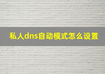 私人dns自动模式怎么设置