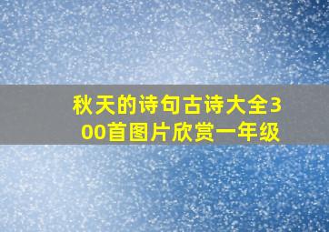 秋天的诗句古诗大全300首图片欣赏一年级