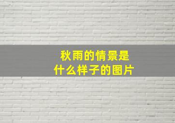 秋雨的情景是什么样子的图片