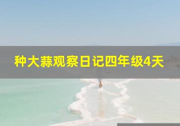 种大蒜观察日记四年级4天