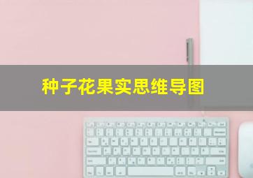 种子花果实思维导图