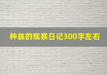 种蒜的观察日记300字左右