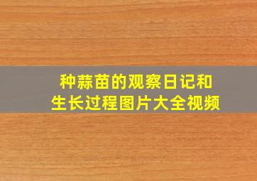 种蒜苗的观察日记和生长过程图片大全视频