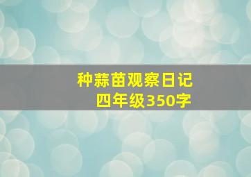 种蒜苗观察日记四年级350字