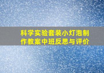 科学实验套装小灯泡制作教案中班反思与评价