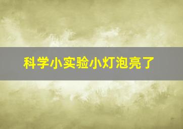 科学小实验小灯泡亮了