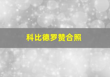 科比德罗赞合照