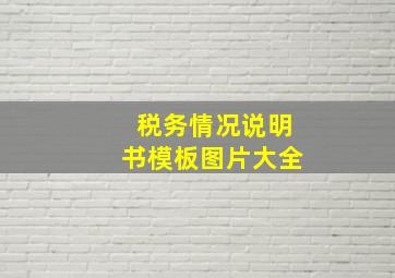 税务情况说明书模板图片大全