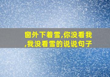 窗外下着雪,你没看我,我没看雪的说说句子