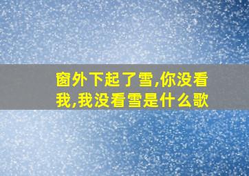 窗外下起了雪,你没看我,我没看雪是什么歌