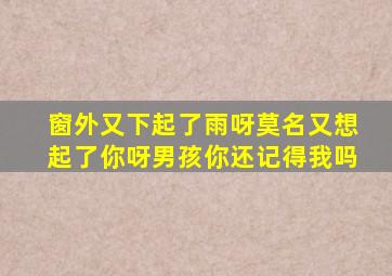 窗外又下起了雨呀莫名又想起了你呀男孩你还记得我吗