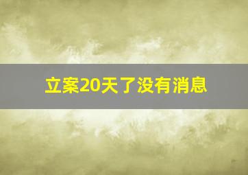 立案20天了没有消息