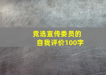 竞选宣传委员的自我评价100字