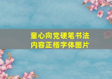 童心向党硬笔书法内容正楷字体图片