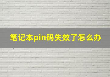 笔记本pin码失效了怎么办