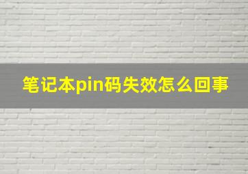 笔记本pin码失效怎么回事