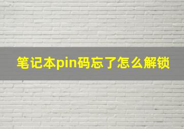 笔记本pin码忘了怎么解锁