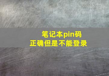 笔记本pin码正确但是不能登录