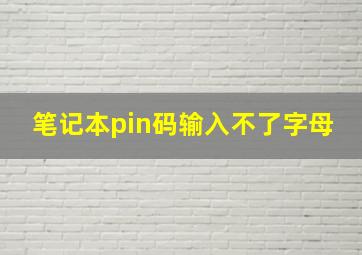 笔记本pin码输入不了字母