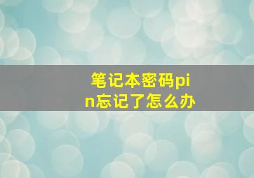 笔记本密码pin忘记了怎么办