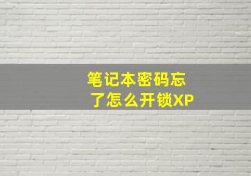 笔记本密码忘了怎么开锁XP