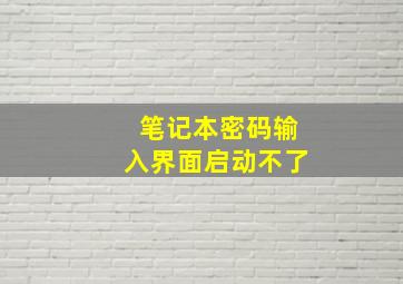 笔记本密码输入界面启动不了