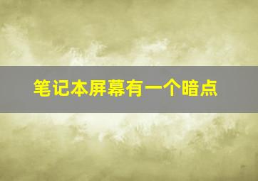 笔记本屏幕有一个暗点