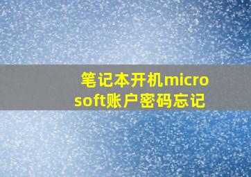 笔记本开机microsoft账户密码忘记