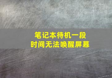 笔记本待机一段时间无法唤醒屏幕