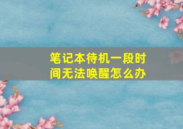 笔记本待机一段时间无法唤醒怎么办