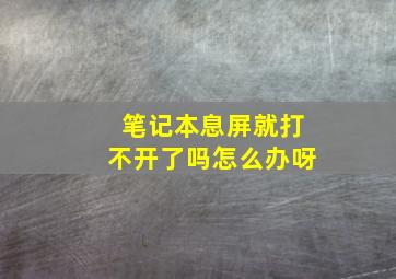 笔记本息屏就打不开了吗怎么办呀