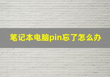 笔记本电脑pin忘了怎么办