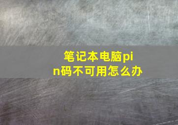 笔记本电脑pin码不可用怎么办