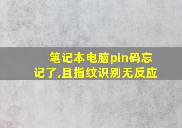 笔记本电脑pin码忘记了,且指纹识别无反应